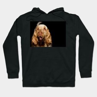 Dirty, filthy, happy Spinone Hoodie